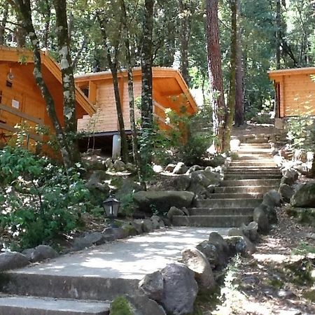 Auberge De La Foret Bonifatu Calenzana Exteriér fotografie