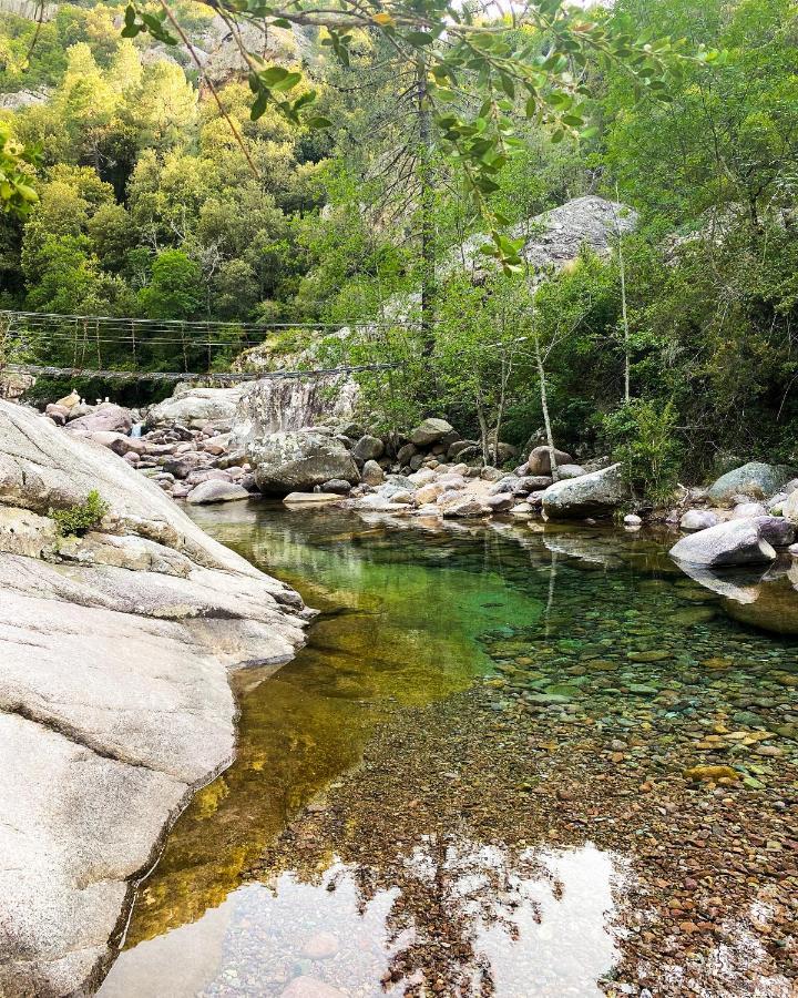 Auberge De La Foret Bonifatu Calenzana Exteriér fotografie