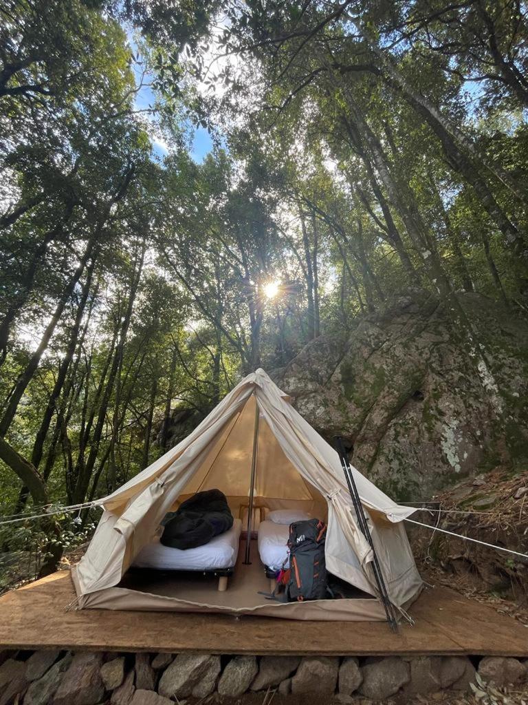 Auberge De La Foret Bonifatu Calenzana Exteriér fotografie
